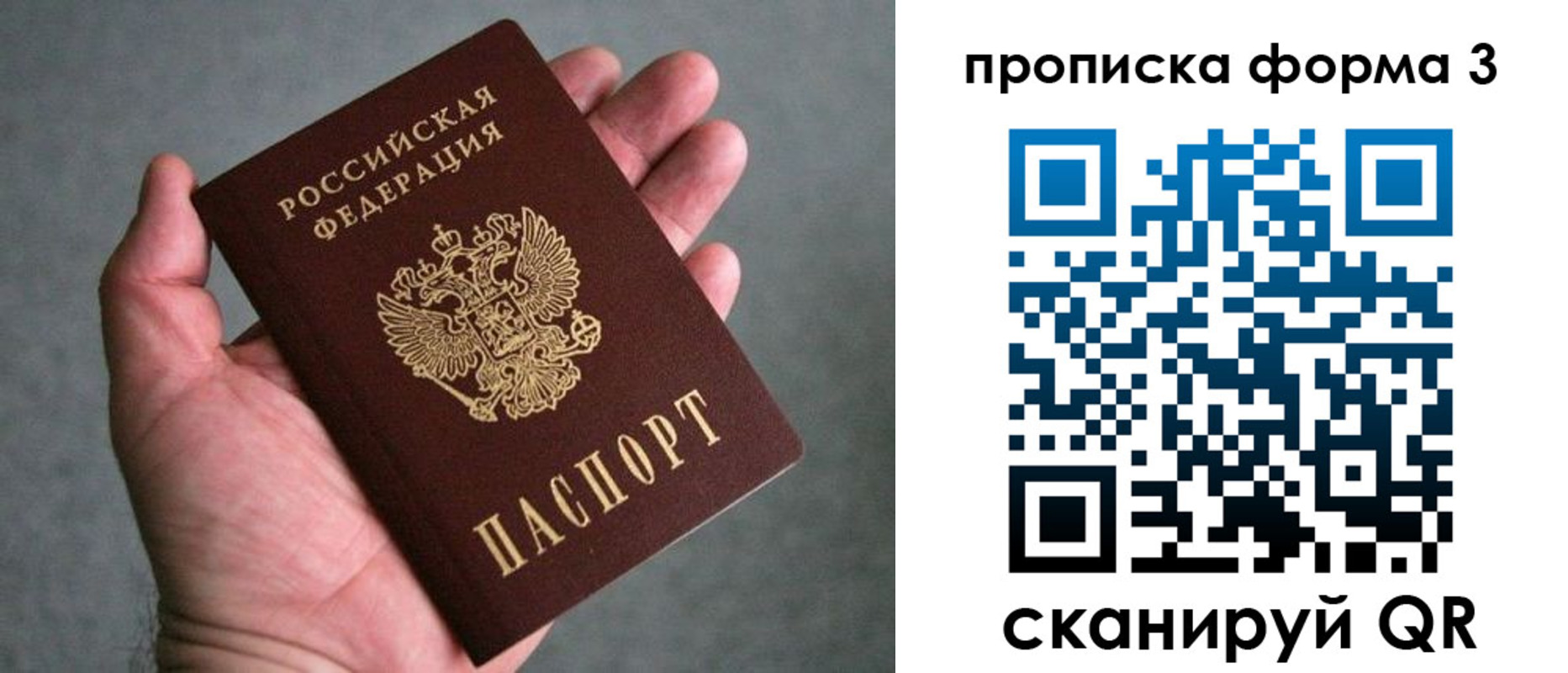 пропишу в квартире в Владимире