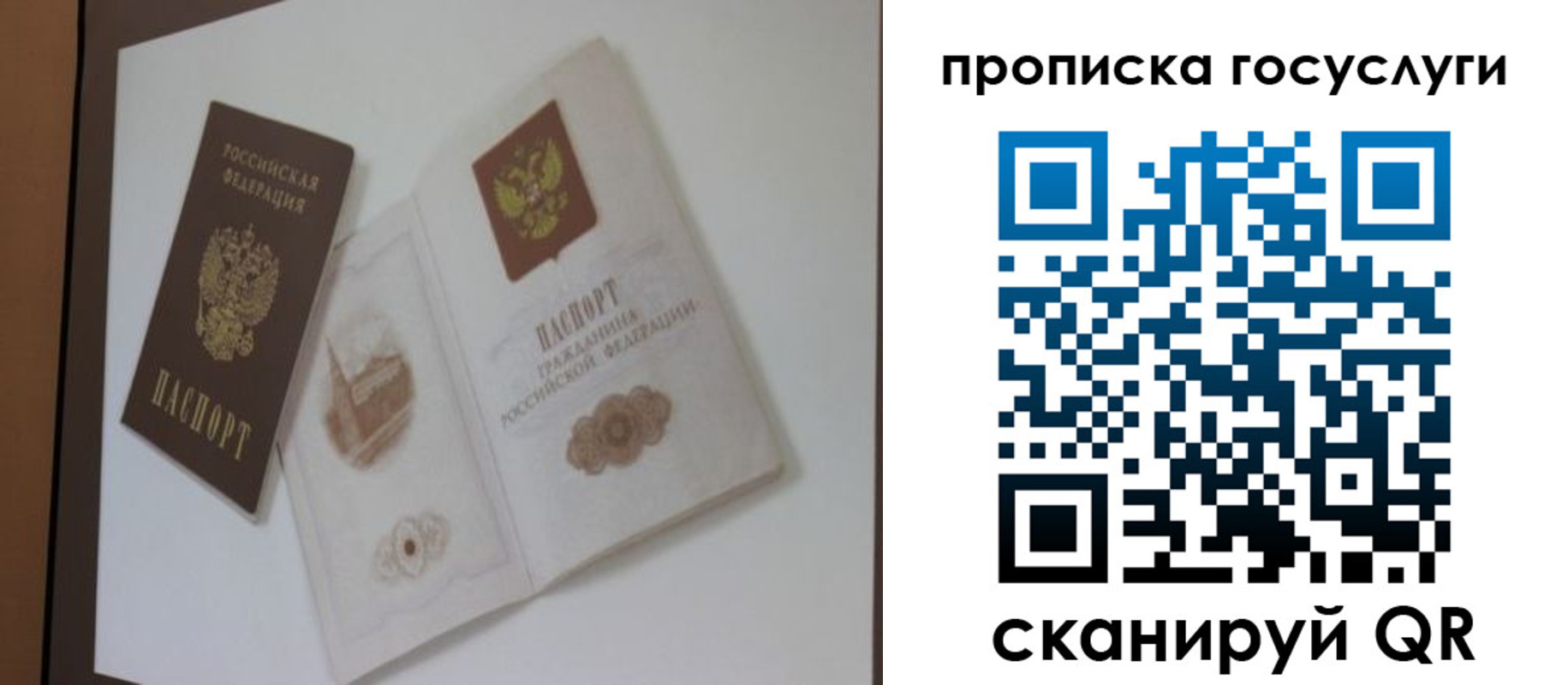 прописка 2025 в Владимире